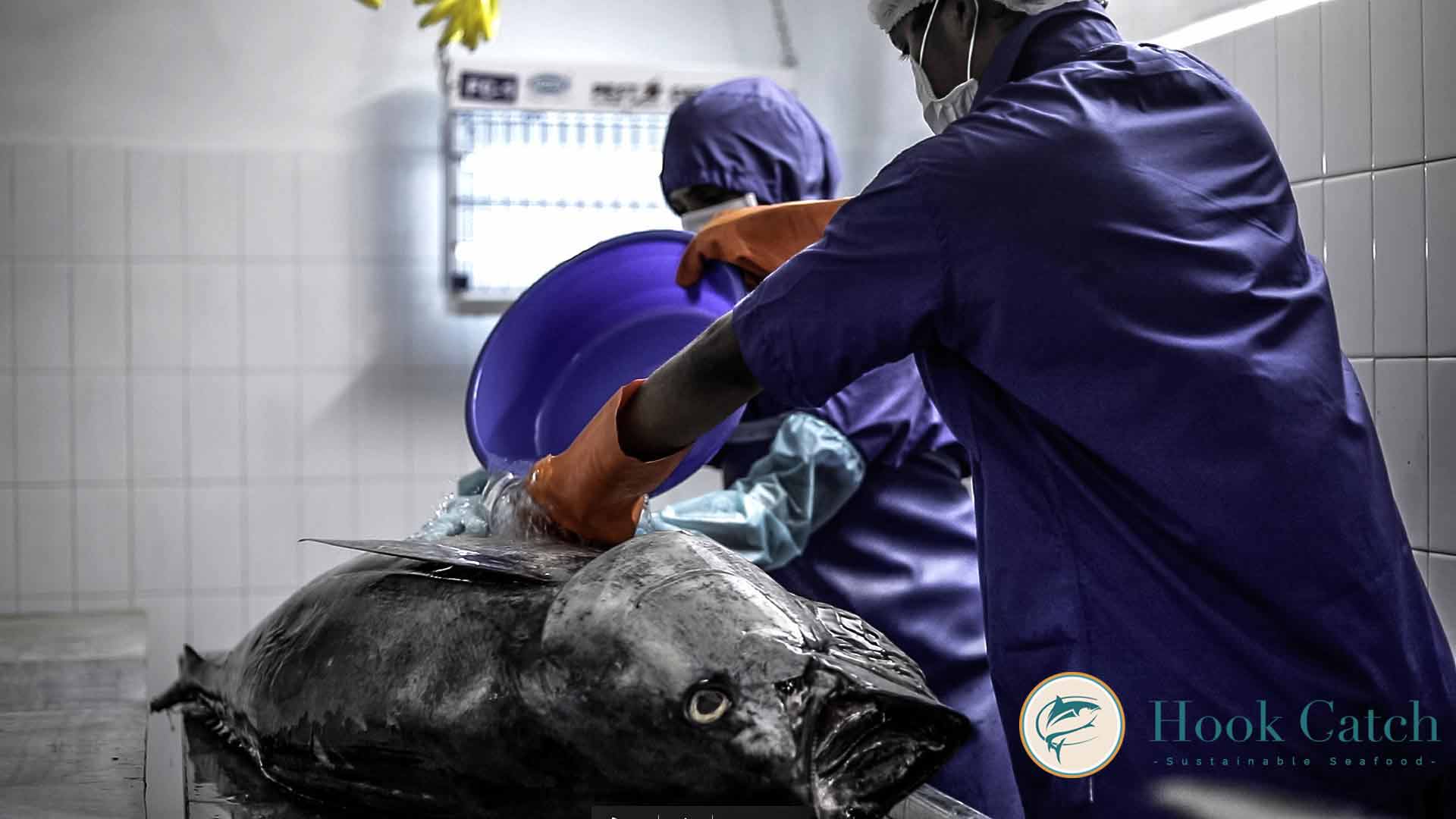 Cleaning Hook Catch Seafood