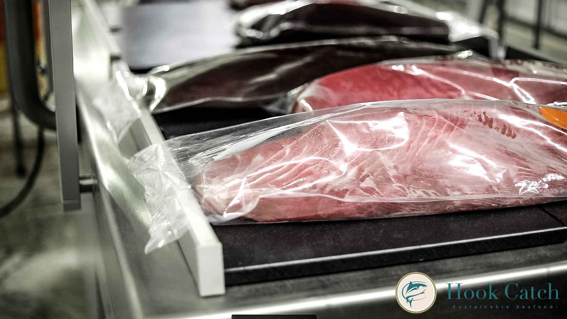 Packing Hook Catch Seafood