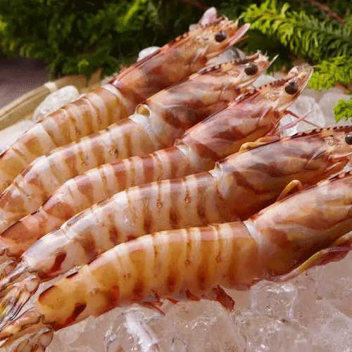 Prawns PDTO Hook Catch Seafood