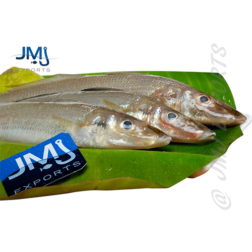 Lady Fish Hook Catch Seafood