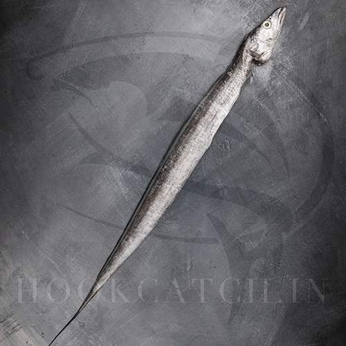 Ribbon Fish Gilled & Gutted Hook Catch Seafood