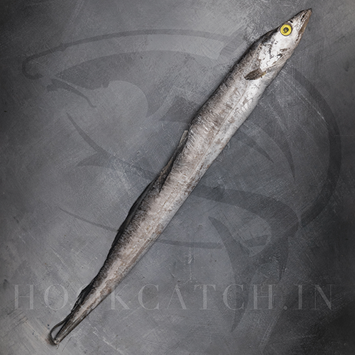 Ribbon Fish Hook Catch Seafood