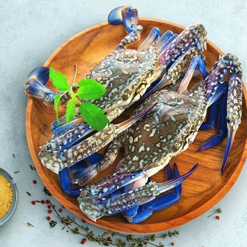 Crustaceans Hook Catch Seafood