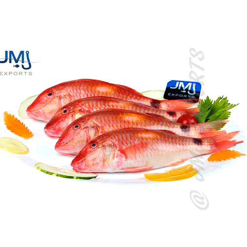 Reef Fishes Hook Catch Seafood
